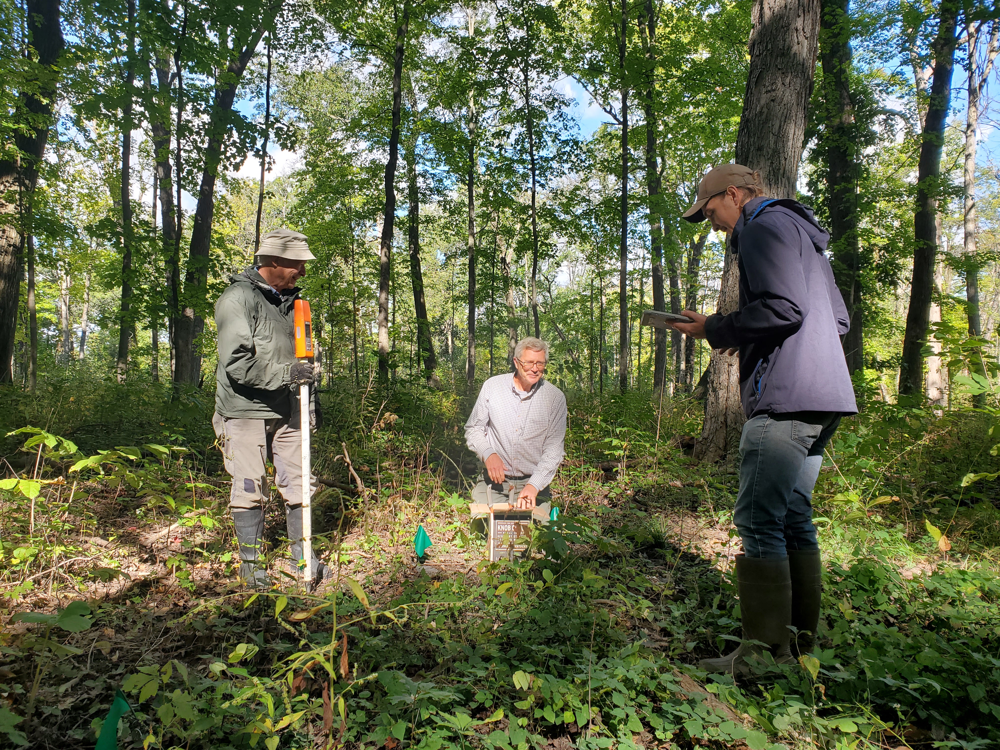 Photo of three people in an open deciduous forest, sunlight peaking through the canopy. People are holding monitoring equipment, centered around a population of plants.